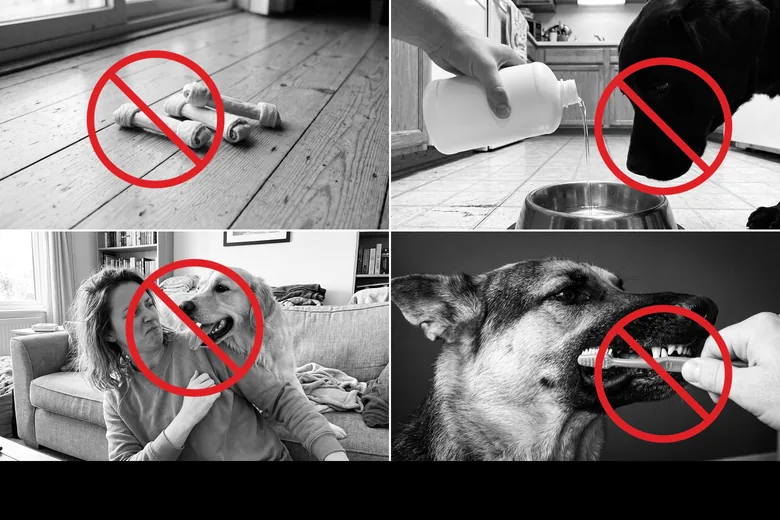 Dental chews, water additives, bad breath and toothbrush battles, each crossed out