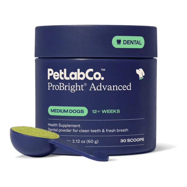 PetLab Co. ProBright Advanced dental powder tub