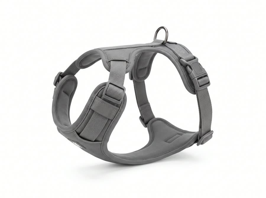 A standard padded back-clip dog harness