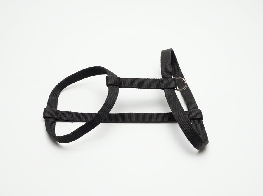 A thin nylon back-clip dog harness