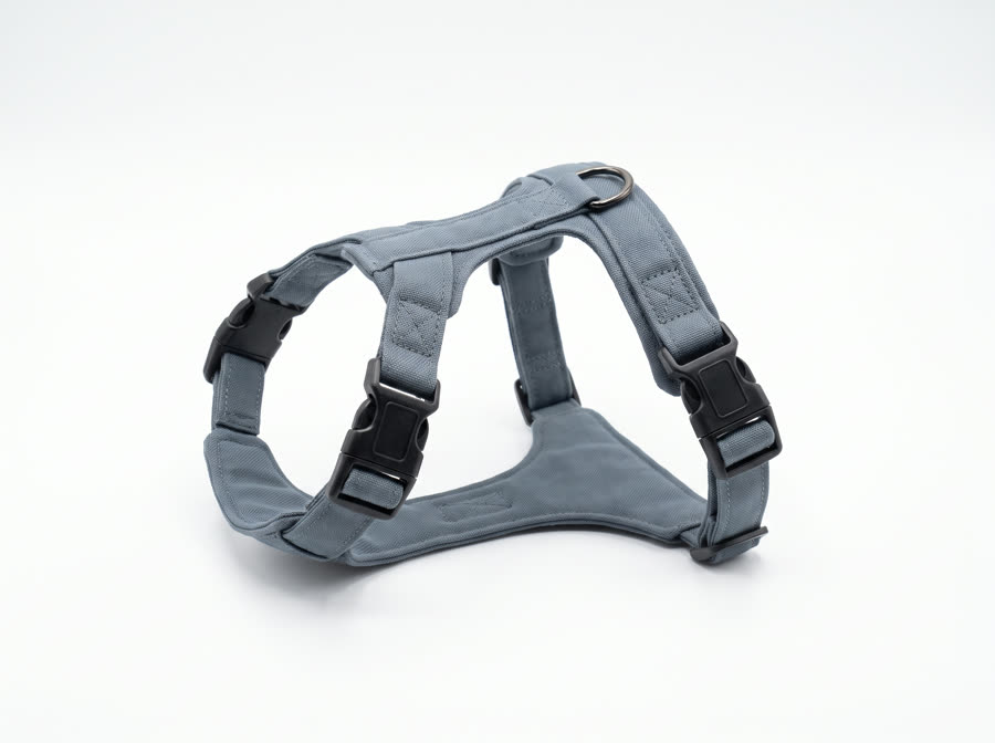 A basic step-in dog harness with side buckles