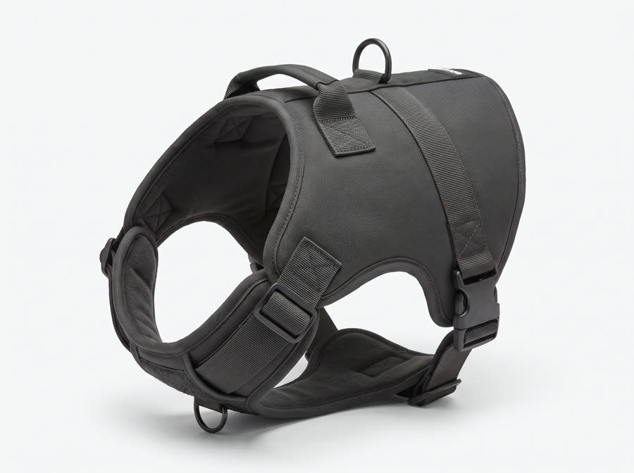 A padded vest-style dog harness