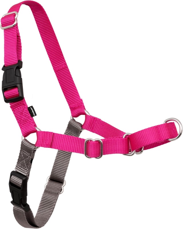 PetSafe Easy Walk harness