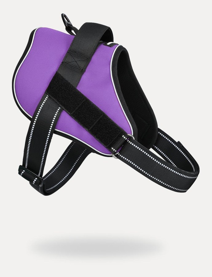 Rabbitgoo No-Pull Harness