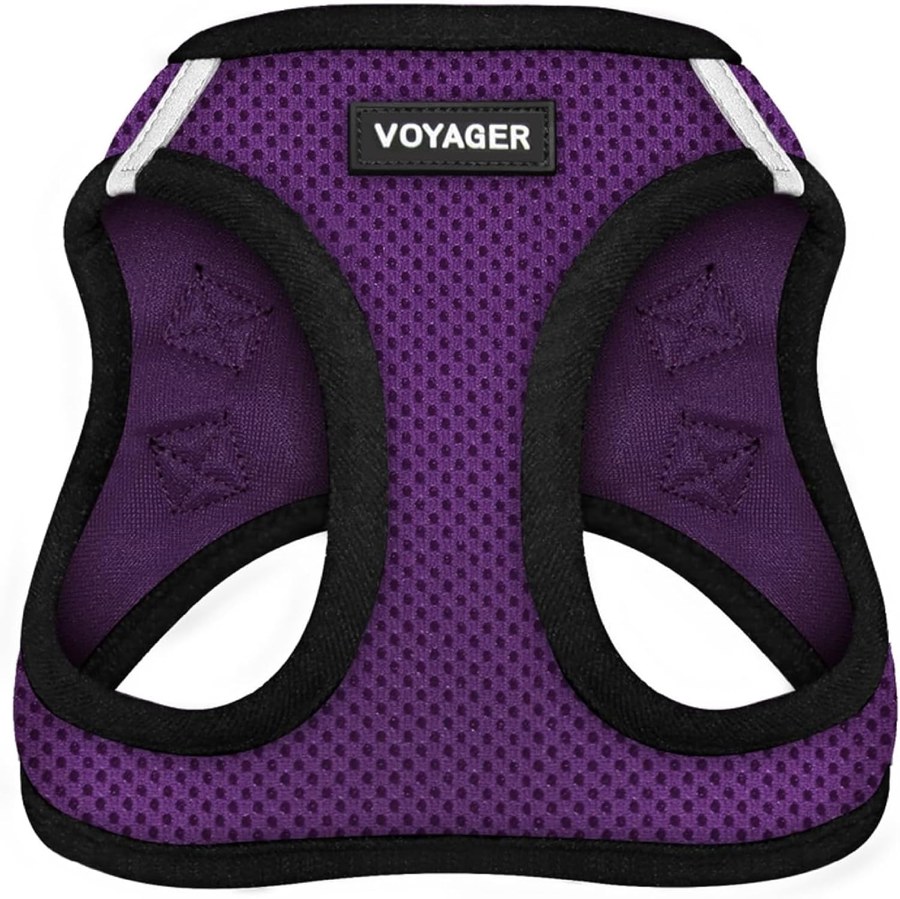 Step-in mesh harness