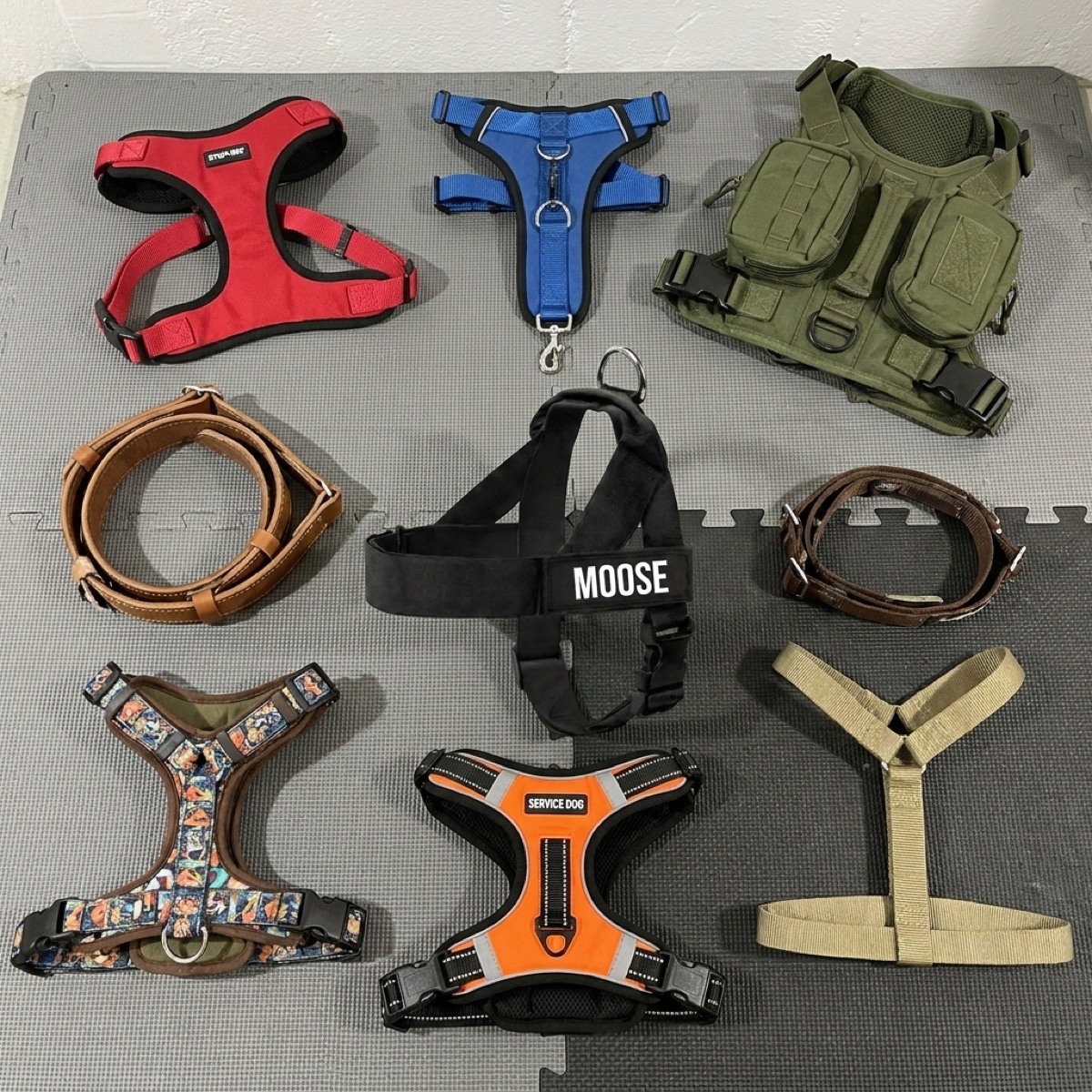 The no-pull harnesses and leads I tested, laid out side by side