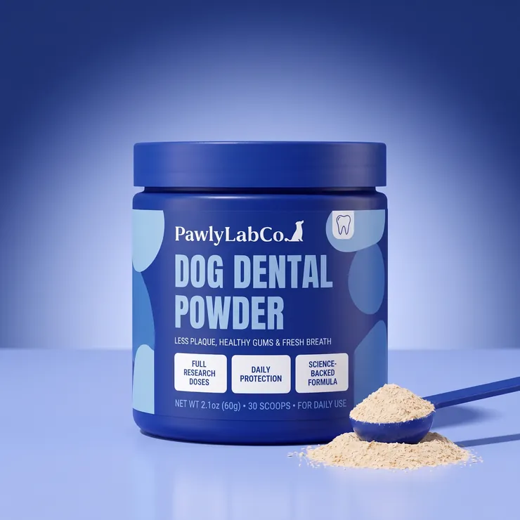 Pawly Lab Co. Dog Dental Powder jar in the studio