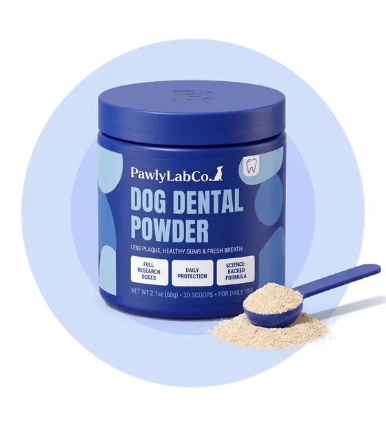 Pawly Lab Co. Dog Dental Powder jar with a heaped scoop