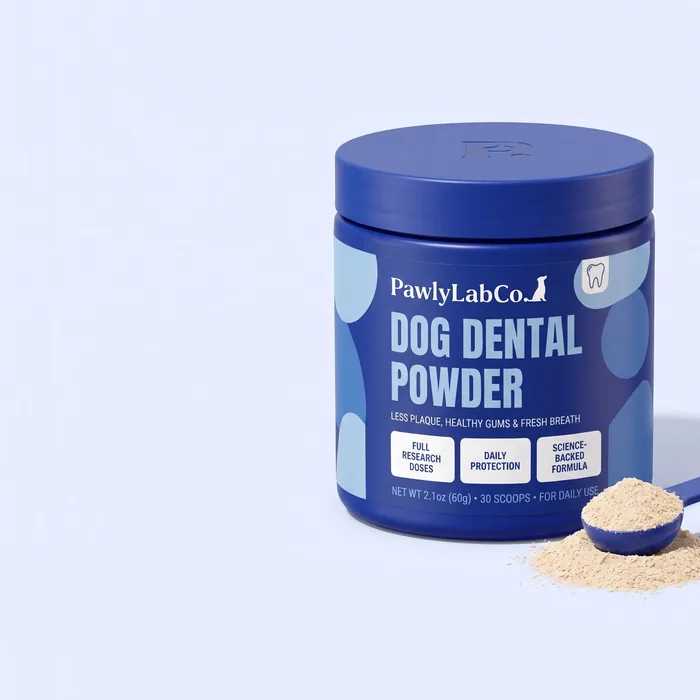 Jar of Pawly Lab Co. Dog Dental Powder with a scoop of powder