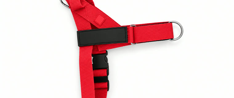 1 harness