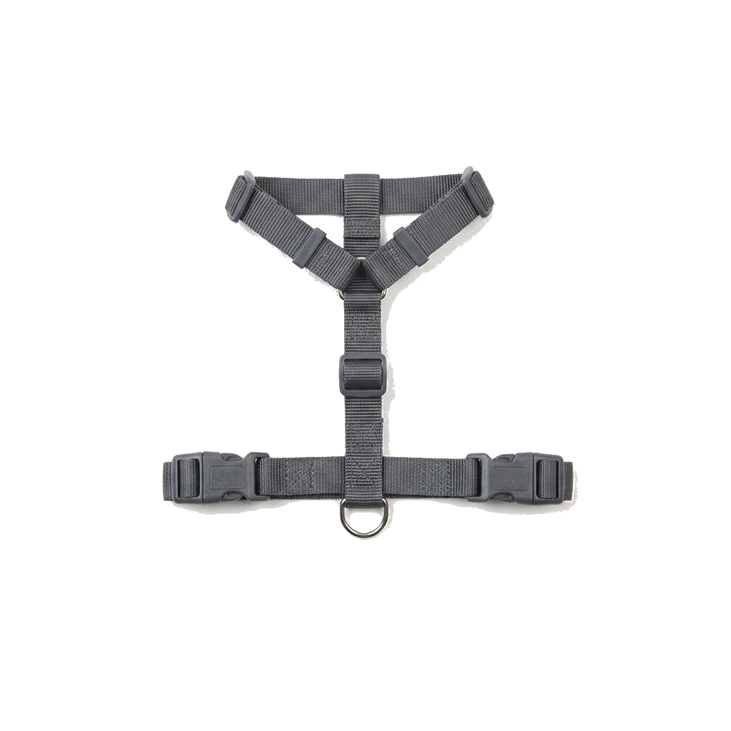 Ordinary harness