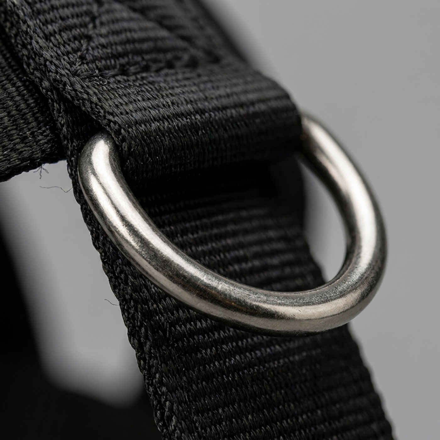 Close-up of the heavy-duty metal D-ring on the PawlyLab harness webbing