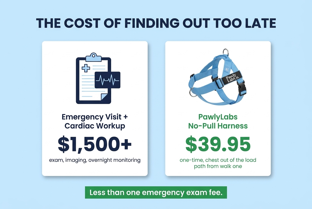 Cost comparison: an emergency visit vs the PawlyLabs harness
