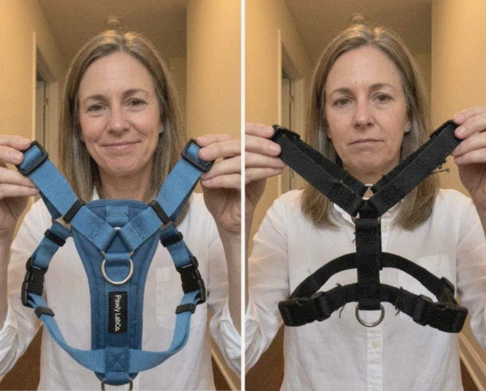 Pawly Harness vs. Back-Clip Harnesses