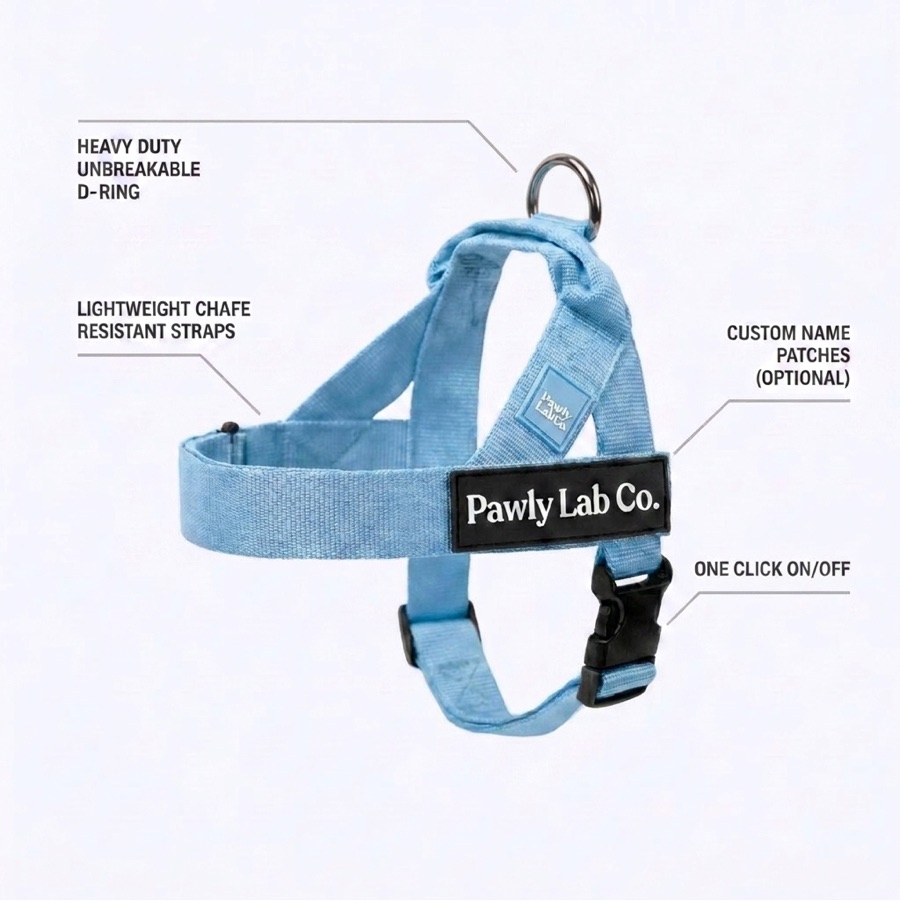 Baby blue harness