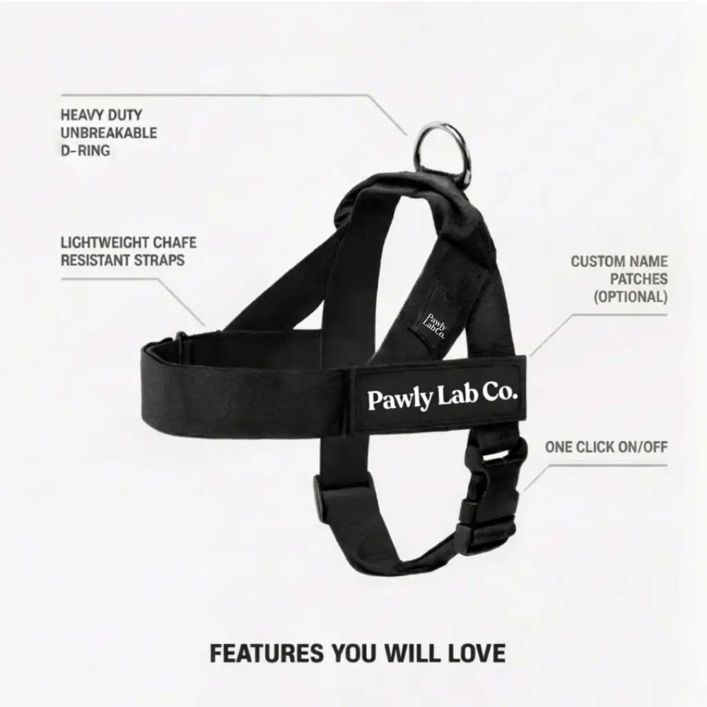 Black harness