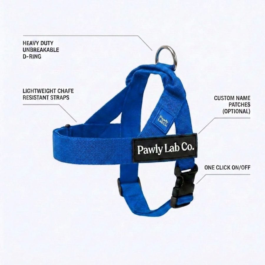 Blue harness