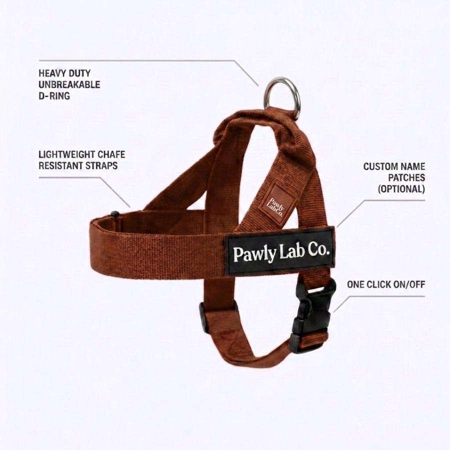 Brown harness