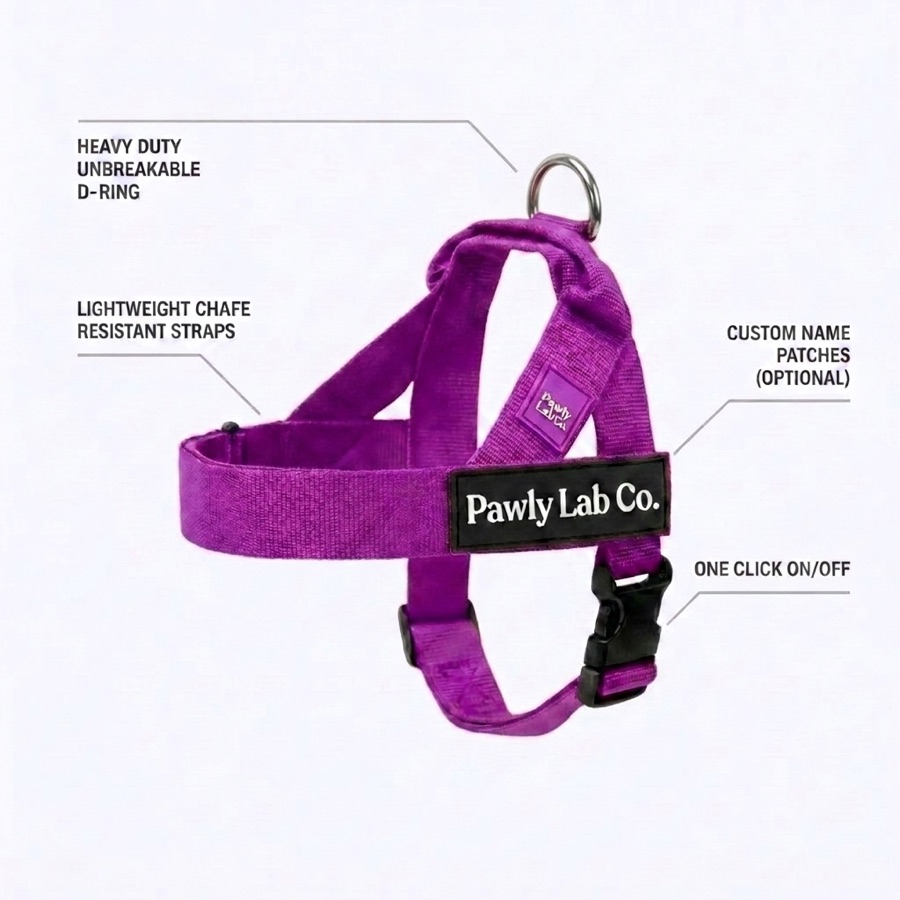 Purple harness