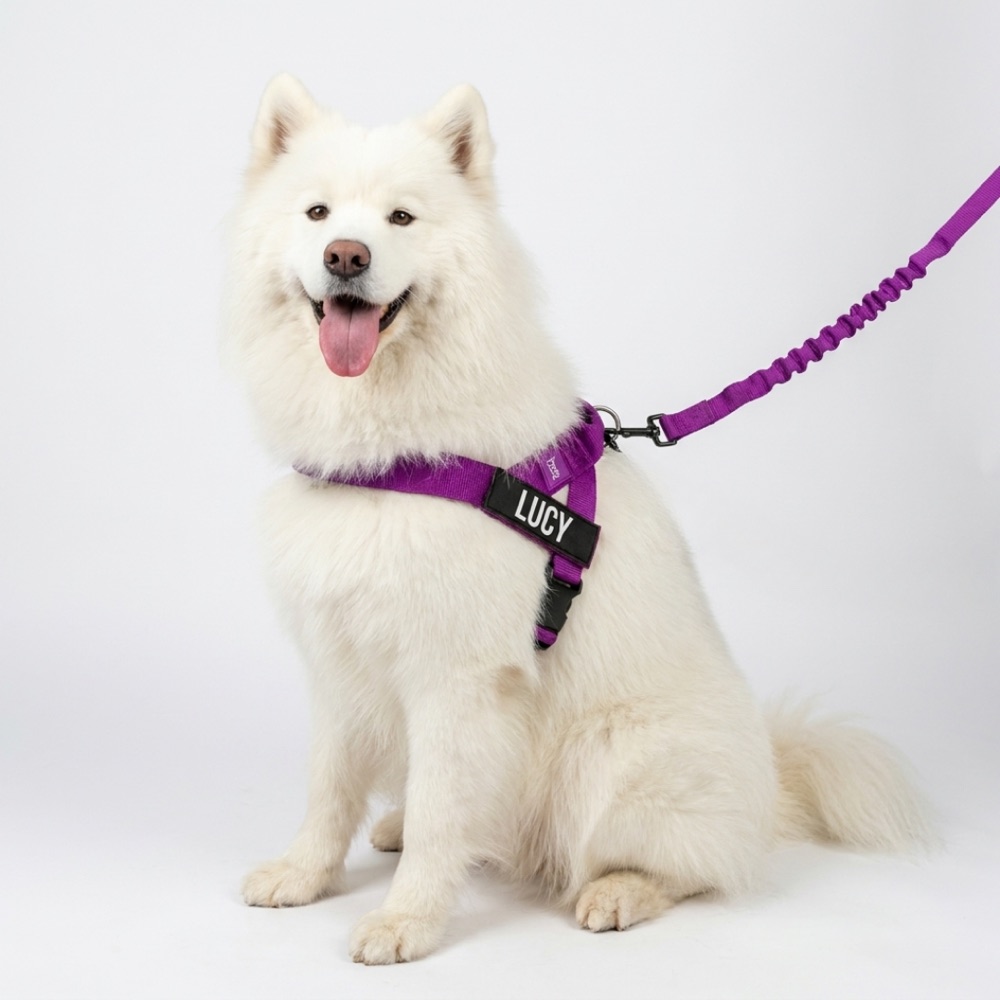 Lucy — purple