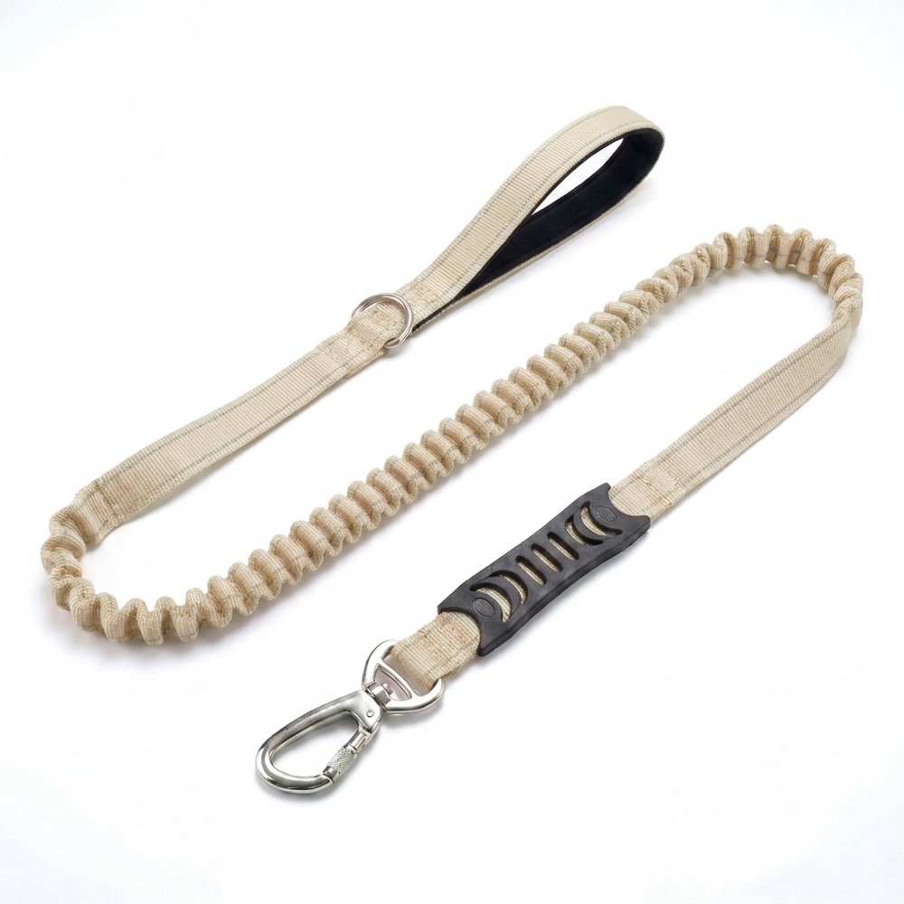 Bungee leash flatlay