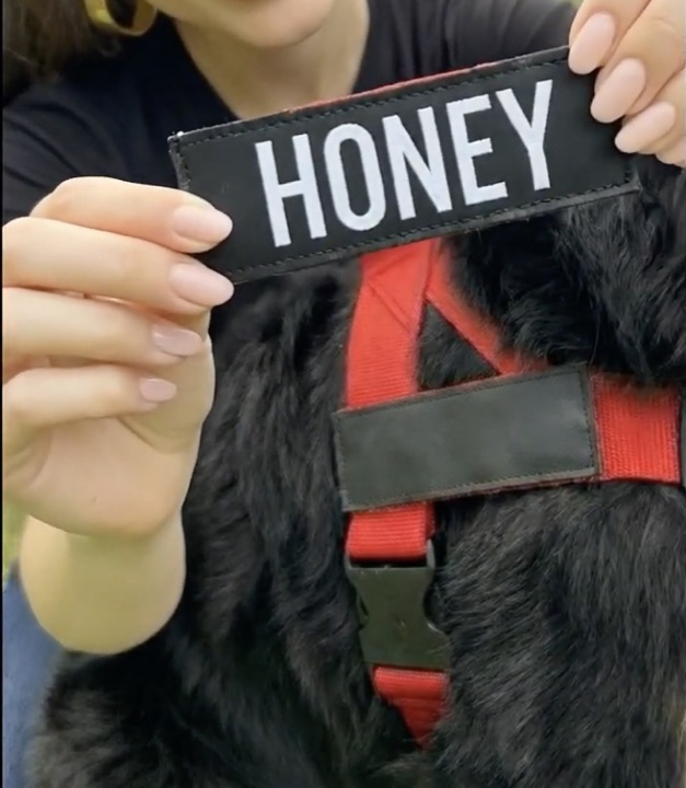 Name patch in hands